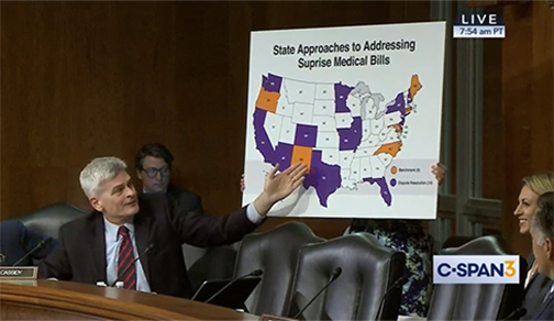 Carley Boyce at Senate Hearing